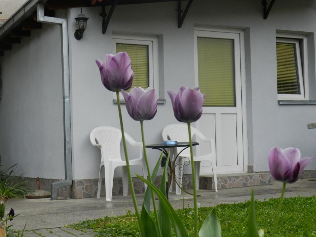 Apartment-Studio Downtown Dudanovi โอครีด ภายนอก รูปภาพ